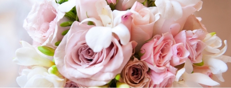 Язык цветов: к чему дарят розовые розы