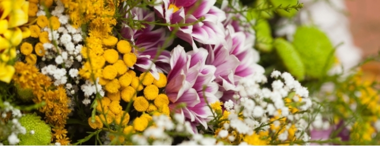 7 прекрасных цветов для поднятия настроения