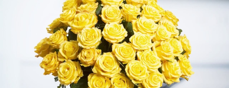 Желтые розы — это символ разлуки?