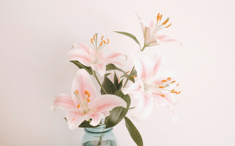 Лилии – долго стоящие цветы для букета