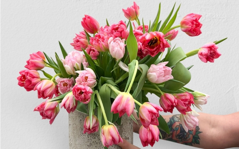 <Розовые тюльпаны — цветы для поднятия настроения