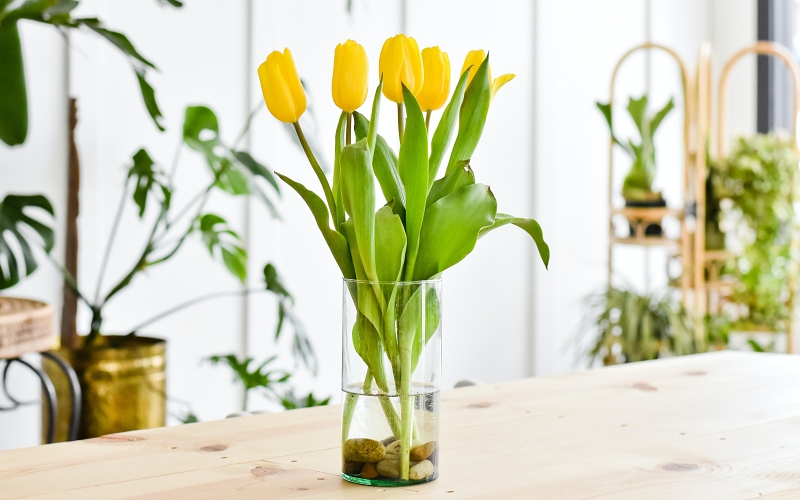 10 способов: как срезанные тюльпаны сохранить подольше в вазе